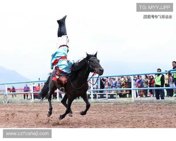 马术人马合一：骑手腿部压力信号对马匹起跳点判断的神经传导